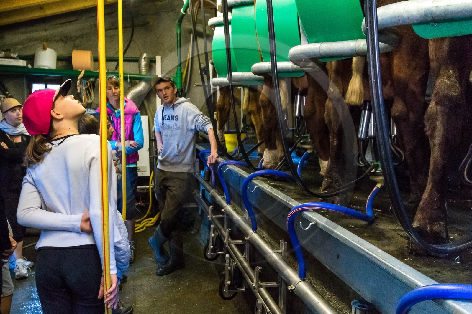 Alpage du Vallon d'en Haut, accueil à l'alpage