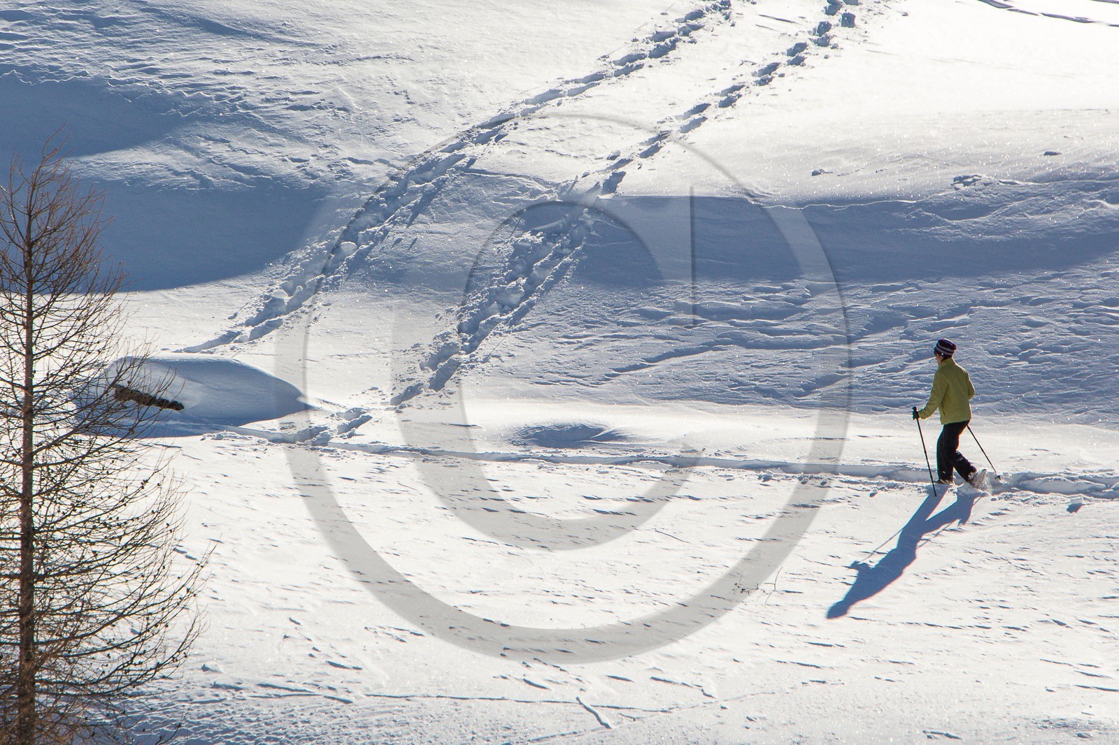 Col de Larche, vallon du lauzanier, randonnée raquettes