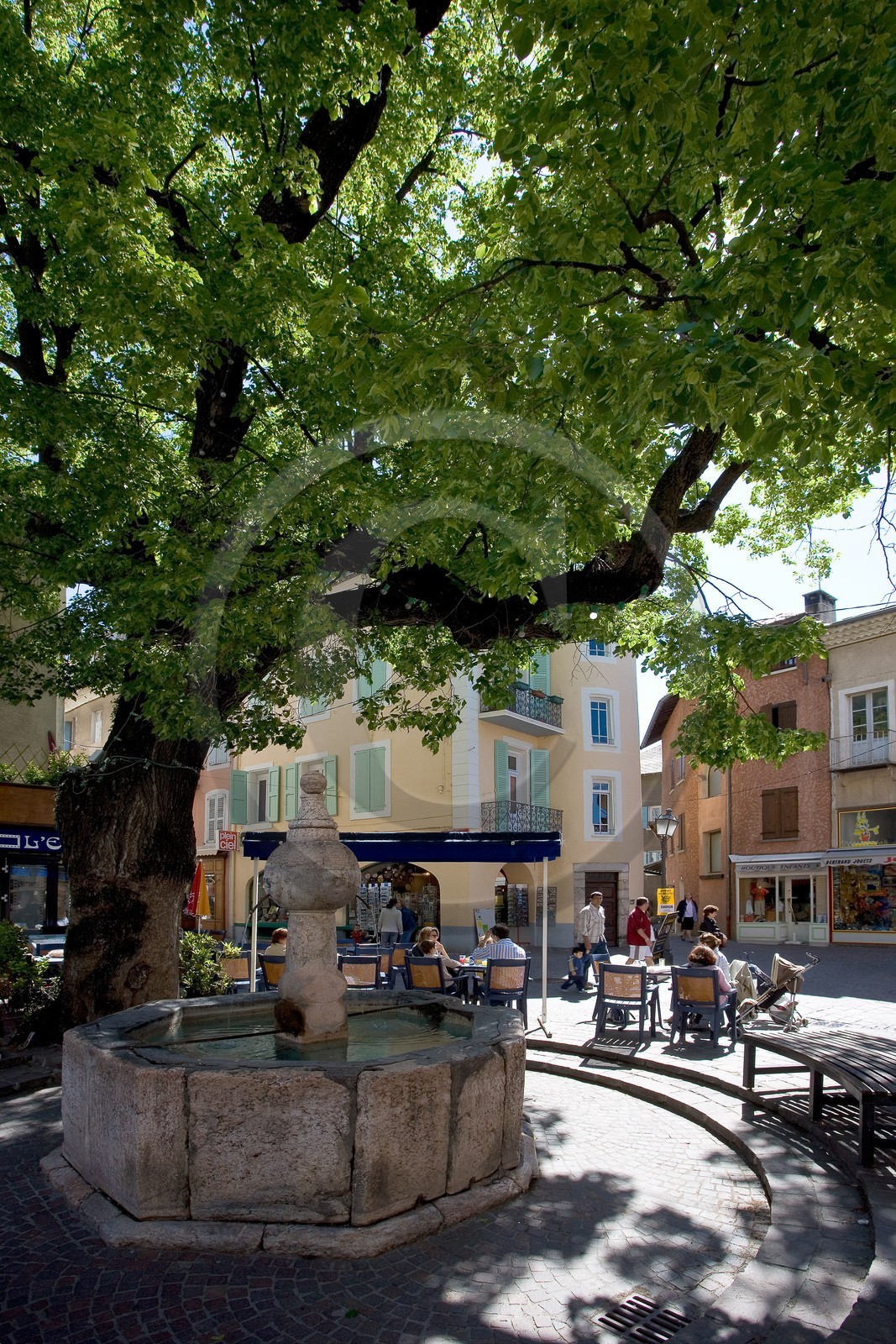 Embrun, place Saint-Marcellin, fontaine de marbre rose de Guillestre du XVIè siècle et tilleul bicentenaire