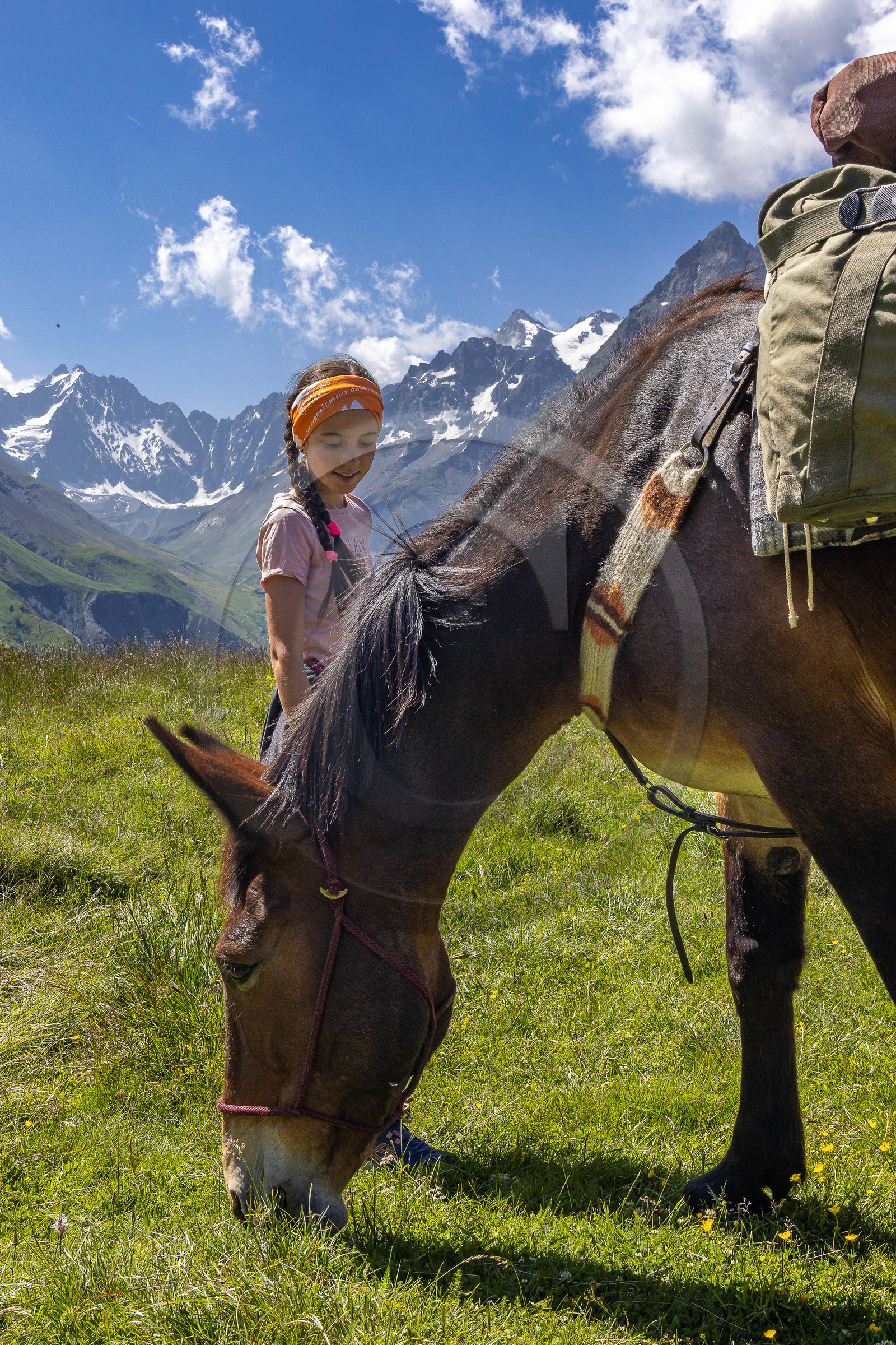 Trek famille avec animaux de bats