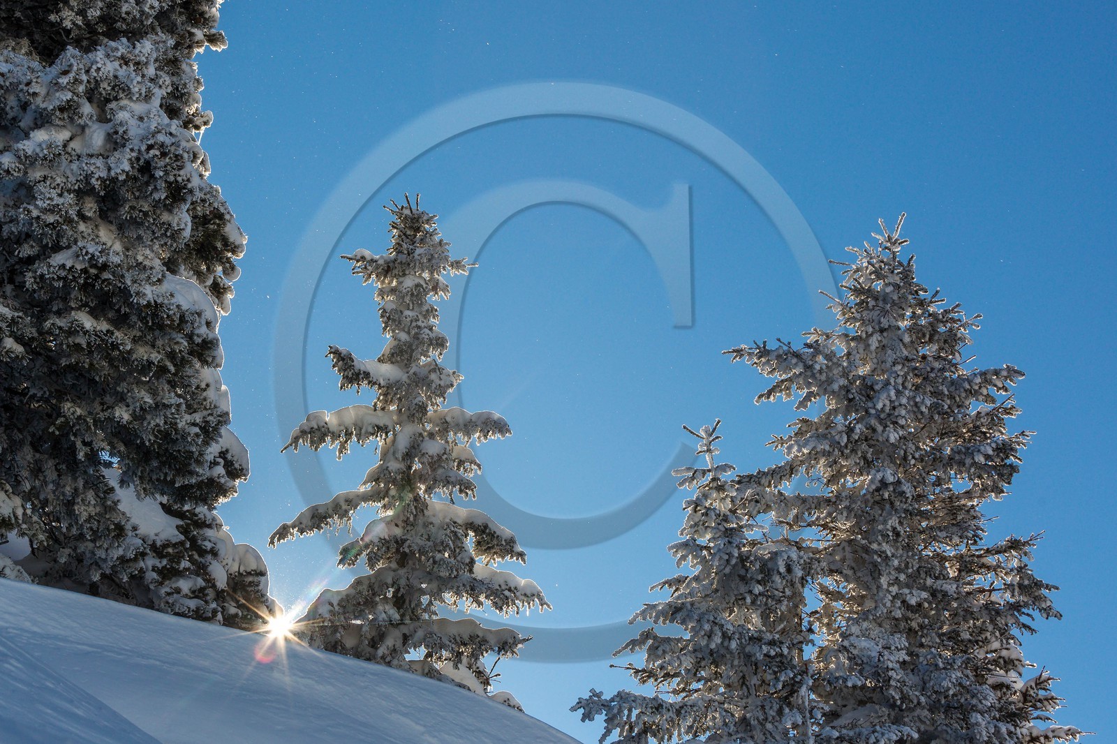 Espace naturel sensible de l'Isère, Col du Coq