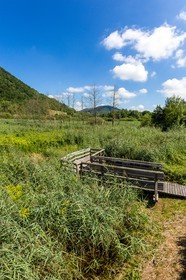 ENS de l'Isère, Marais de Chirens