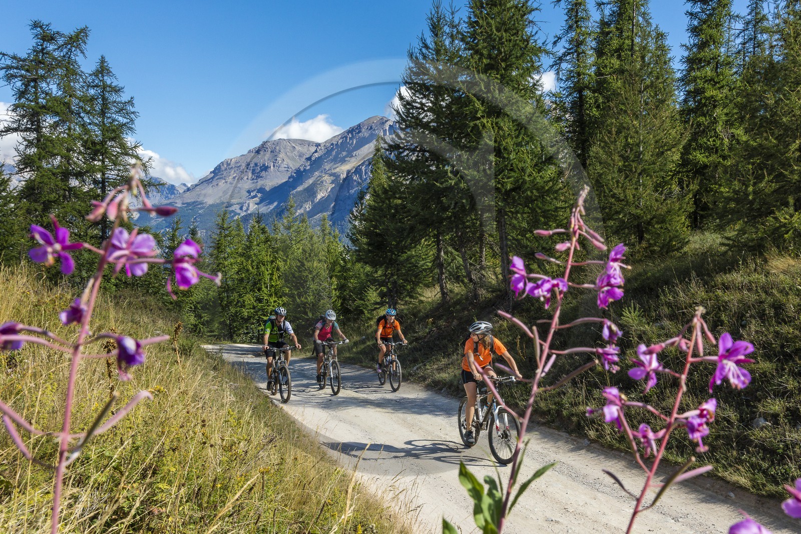 VTT Grand tour des Ecrins
