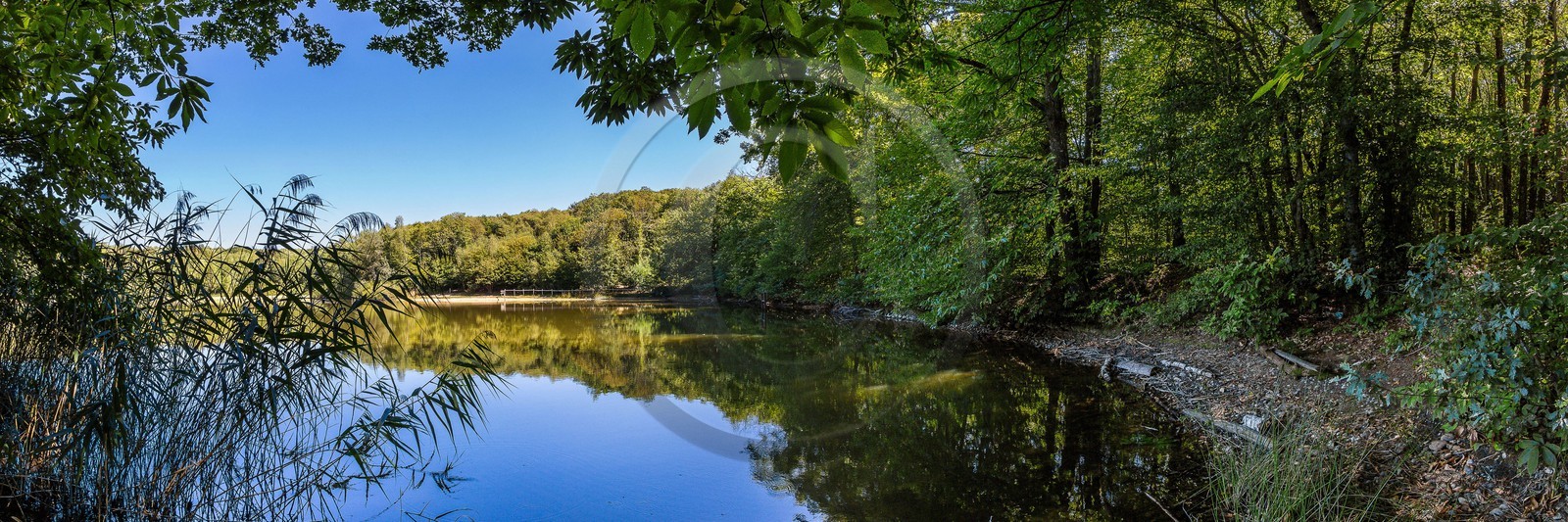 ENS de l'Isère, Etang des Béroudières