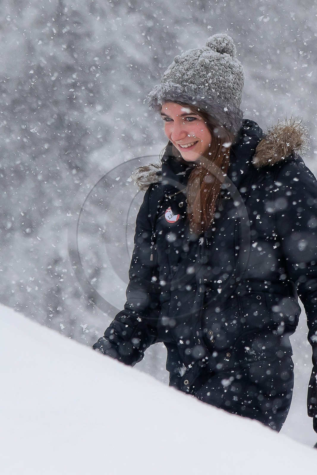Hiver, randonnée balade sous la neige