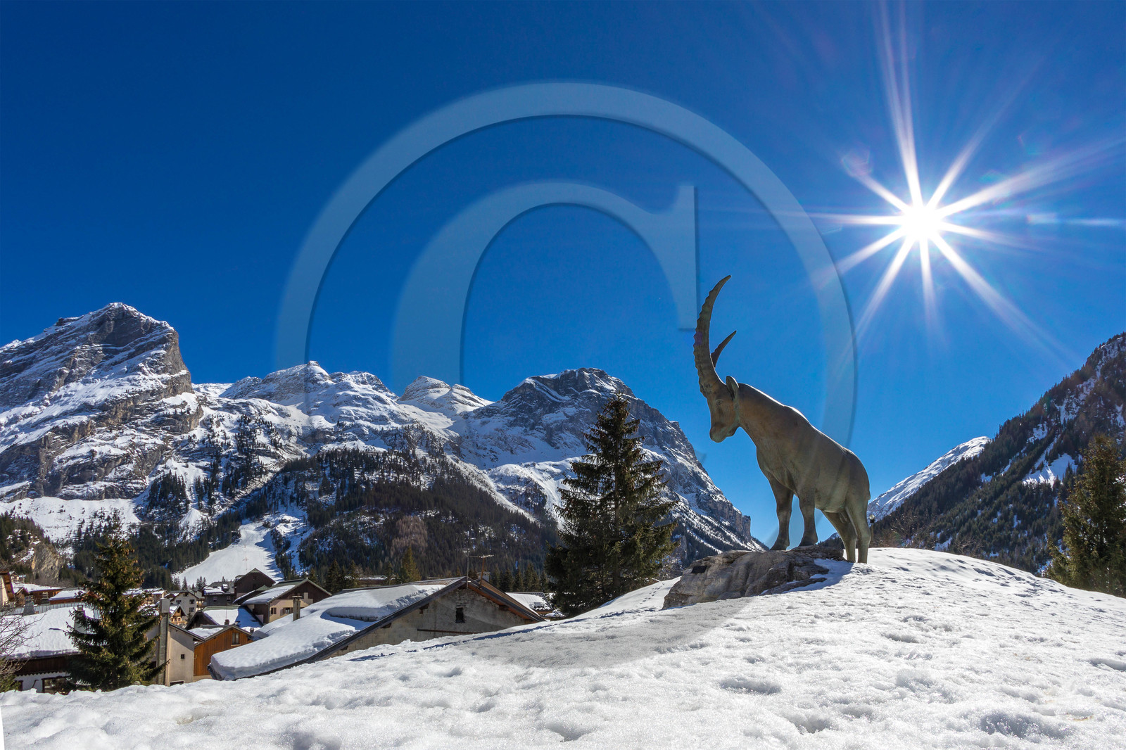 Pralognan-la-Vanoise, bouquetin en bronze