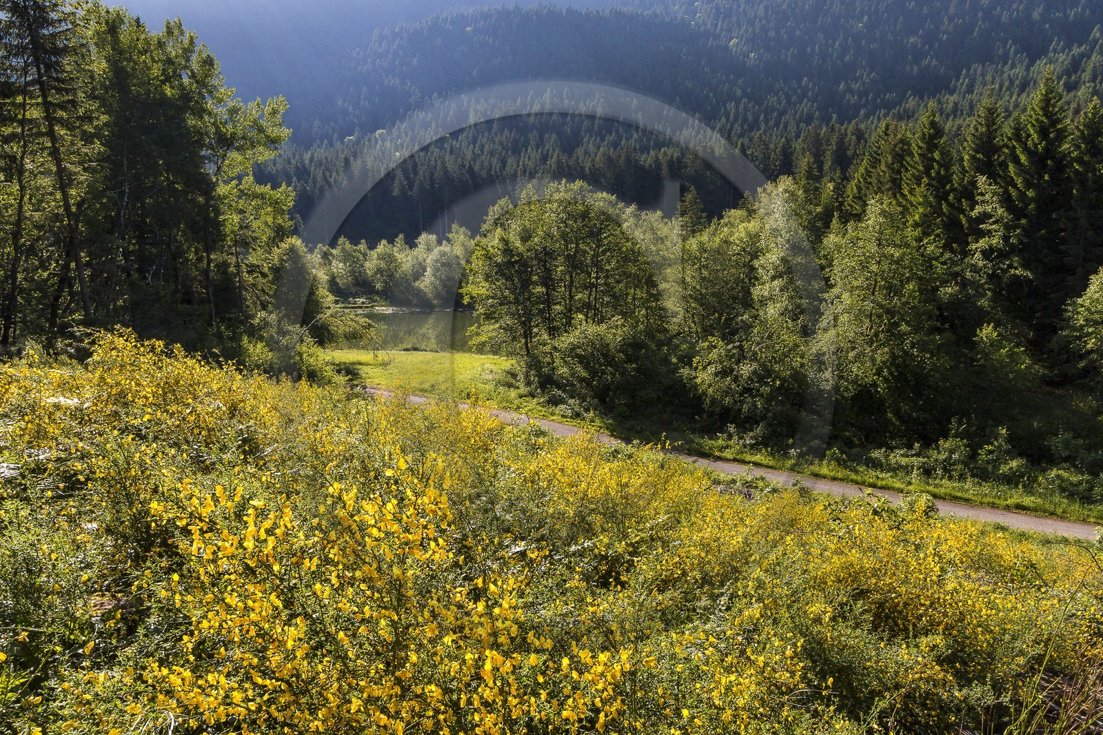 ENS de l'Isère, Marais des Seiglières