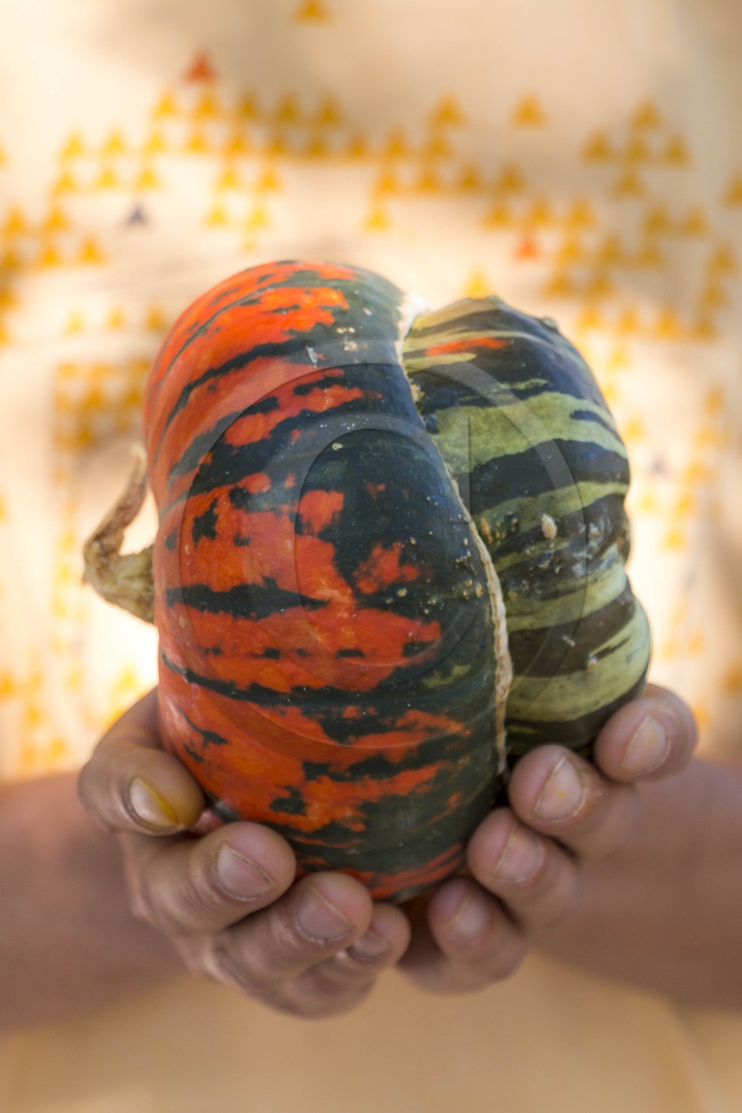 Entre Terre et Miel, Julien Ancel, apiculteur, agriculteur, maraichage