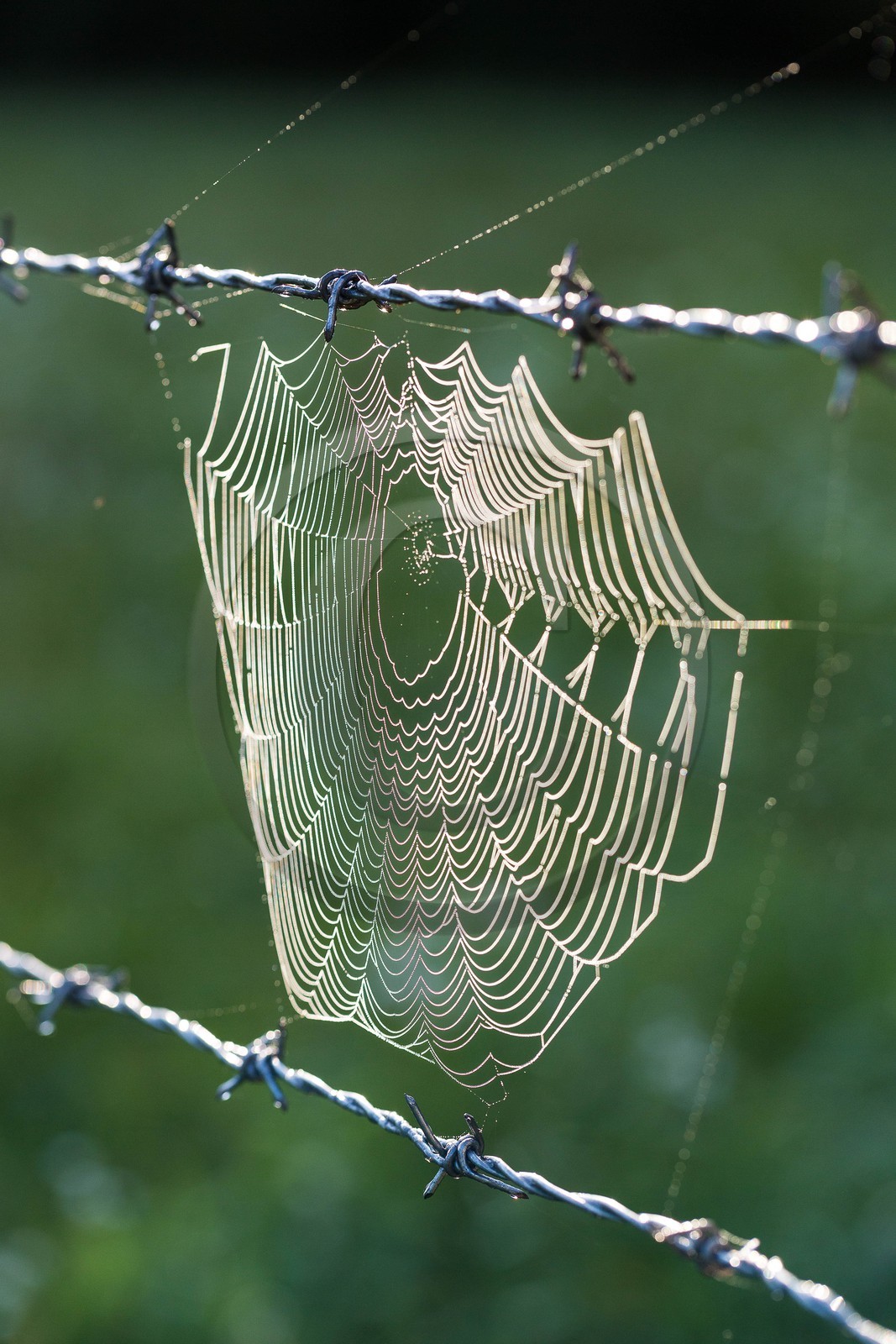 ENS de l'Isère, étang de Mai