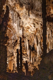 Grotte de Dargilan