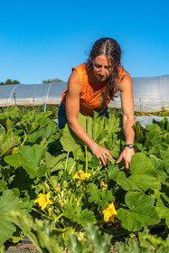 LéguMontagne Sylvie Jaussaud , Maraîchères bio