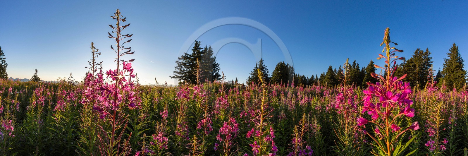 ENS de l'Isère, Plateau de la Molière et du Sornin