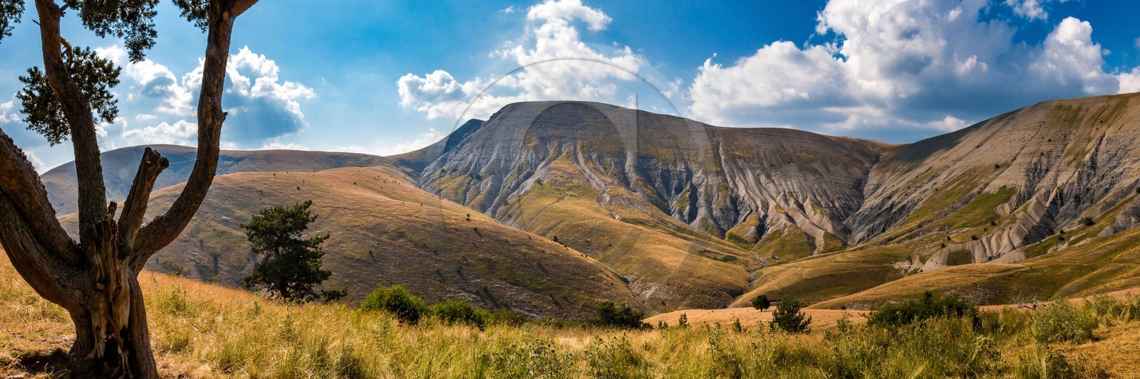 Les Monges, col de Combanière , Tête Grosse, Chabanon, le Bressa