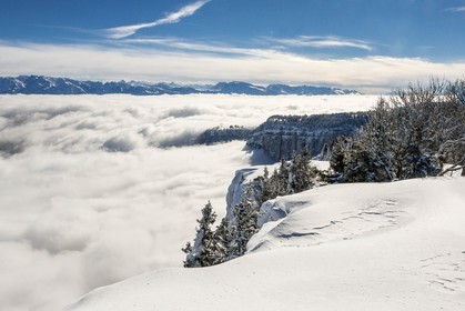 ENS de l'Isère, Plateau de la Molière et du Sornin