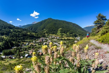 Château-Ville-Vieille, sentier des astragales