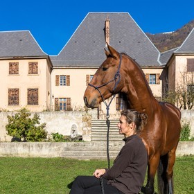 Valbonnais; Chateau Galvin, Haras du Don, Yelena Dovergne