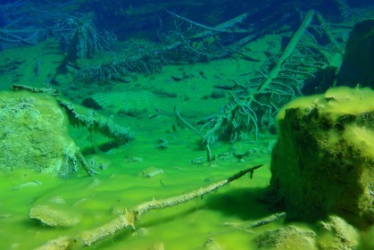 Lac Vert, vallée Etroite