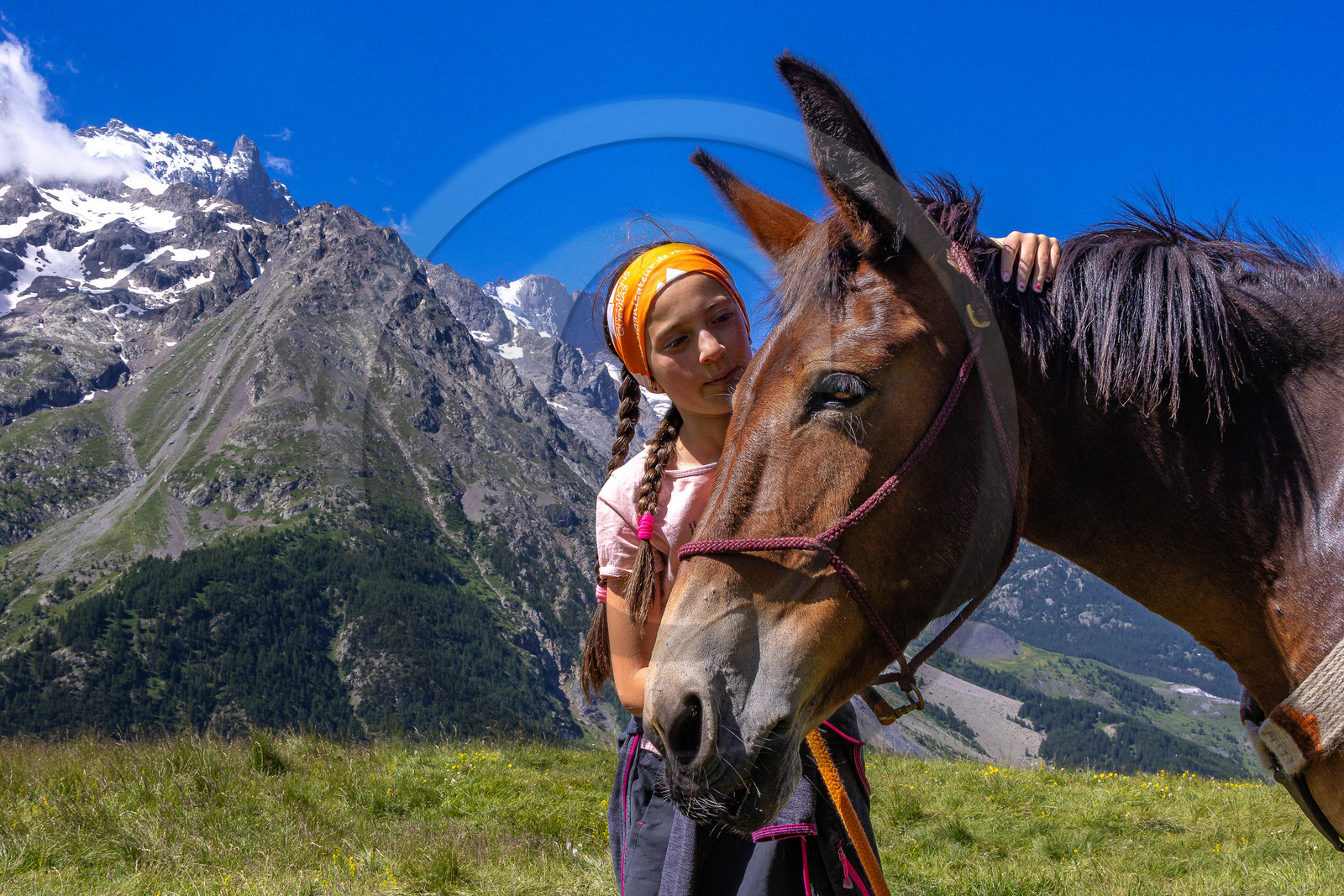 Trek famille avec animaux de bats