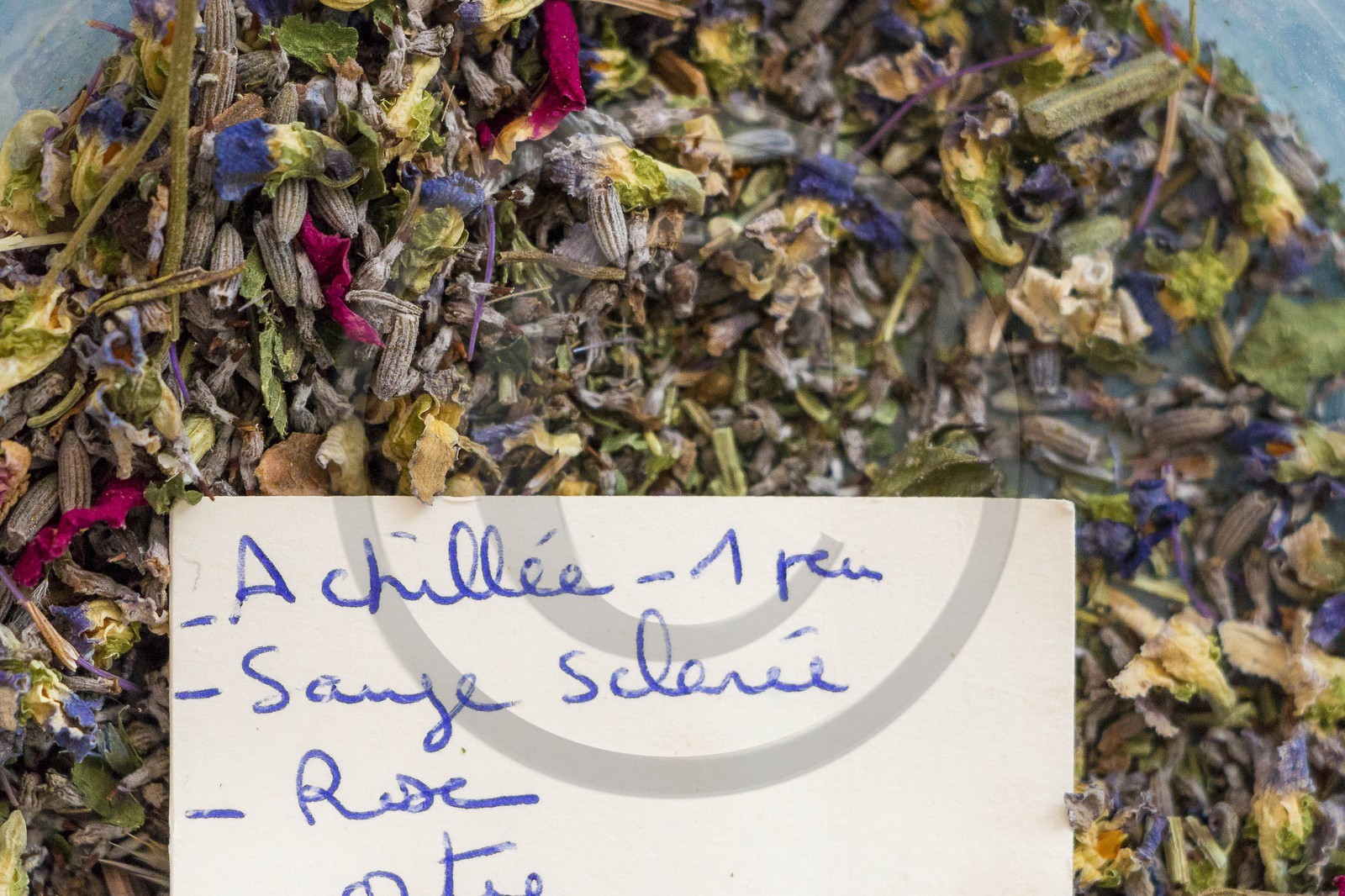 Des roses et des orties, Marie-Jo Etienne