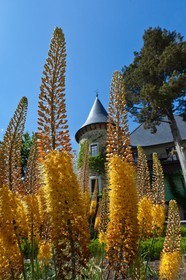 Château de Picomtal,  les jardins du château
