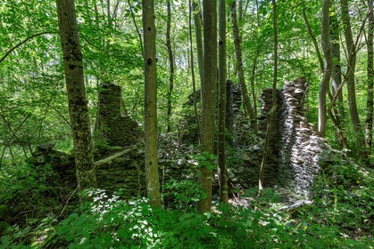 ENS de l'Isère, Vieille morte de Bourg d'Oisans