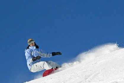Surf des neige, Snowboard