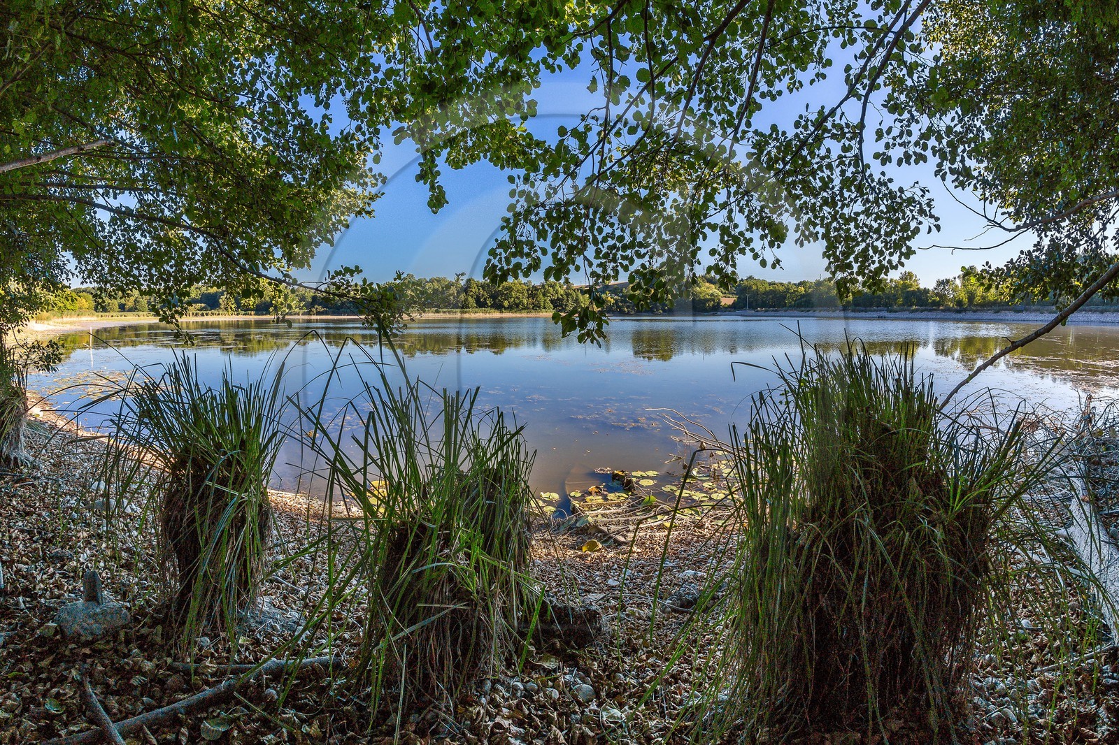 ENS de l'Isère, étang de Montjoux