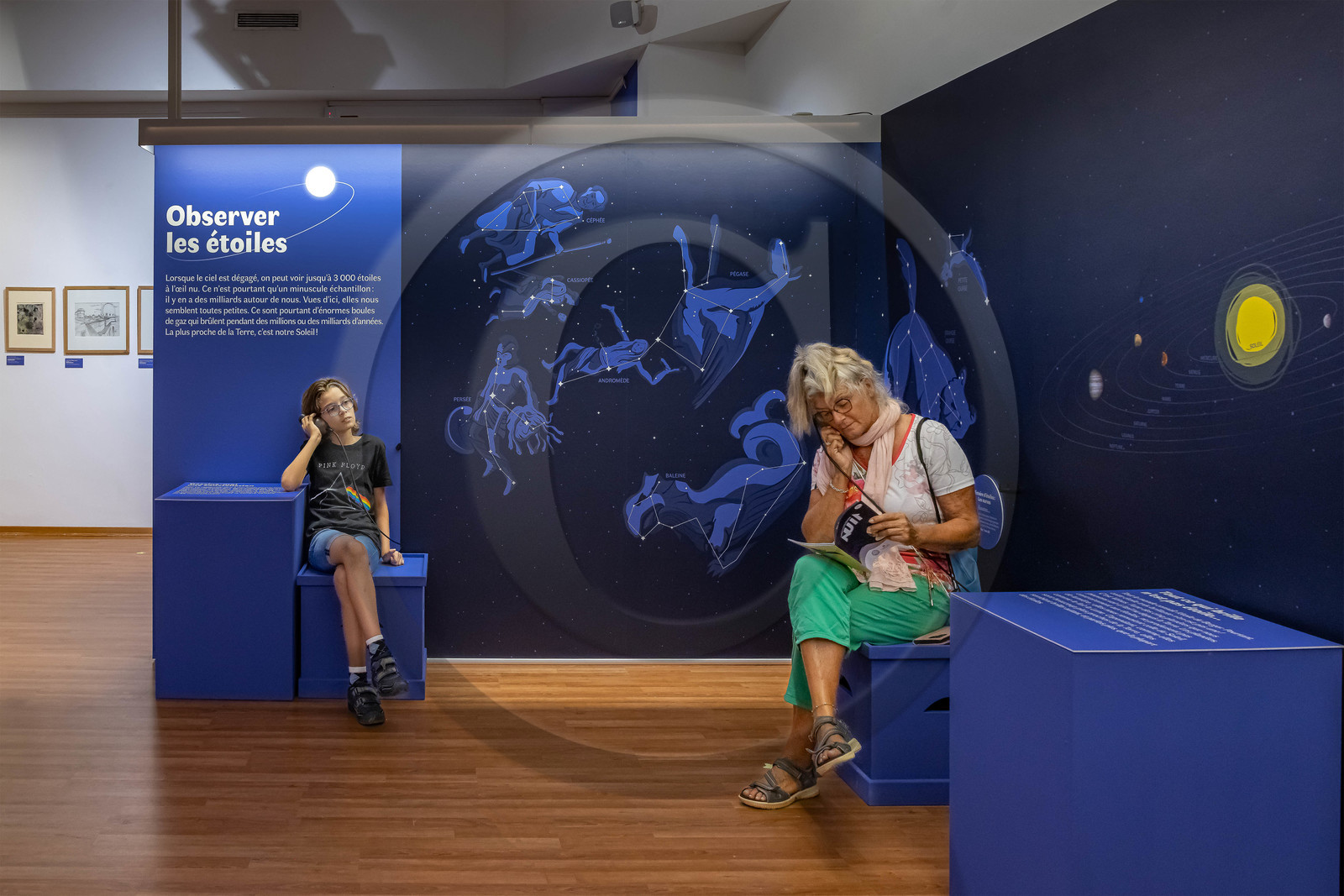 Musée Muséum départemental des Hautes-Alpes, Exposition Nuit