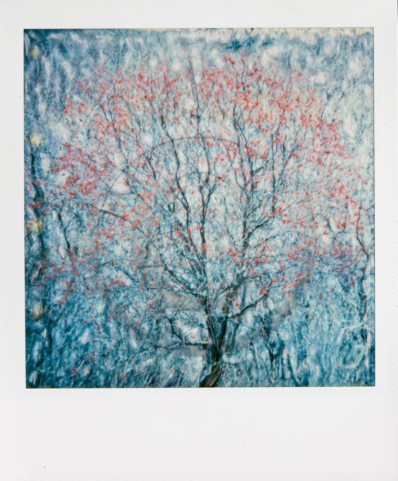 Exposition Arbres et petites forêts, éloge de la biodiversité