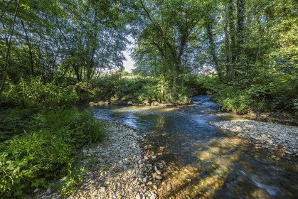 ENS de l'Isère, Zone humide de la Merlière