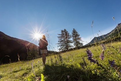 Ubaye, Vallon du Laverq