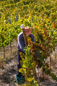 Domaine du Mont Guillaume