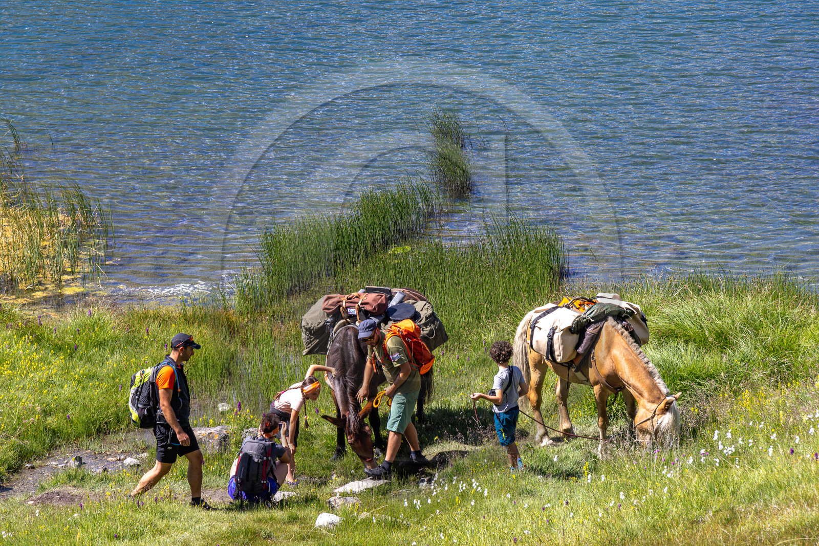 Trek famille avec animaux de bats