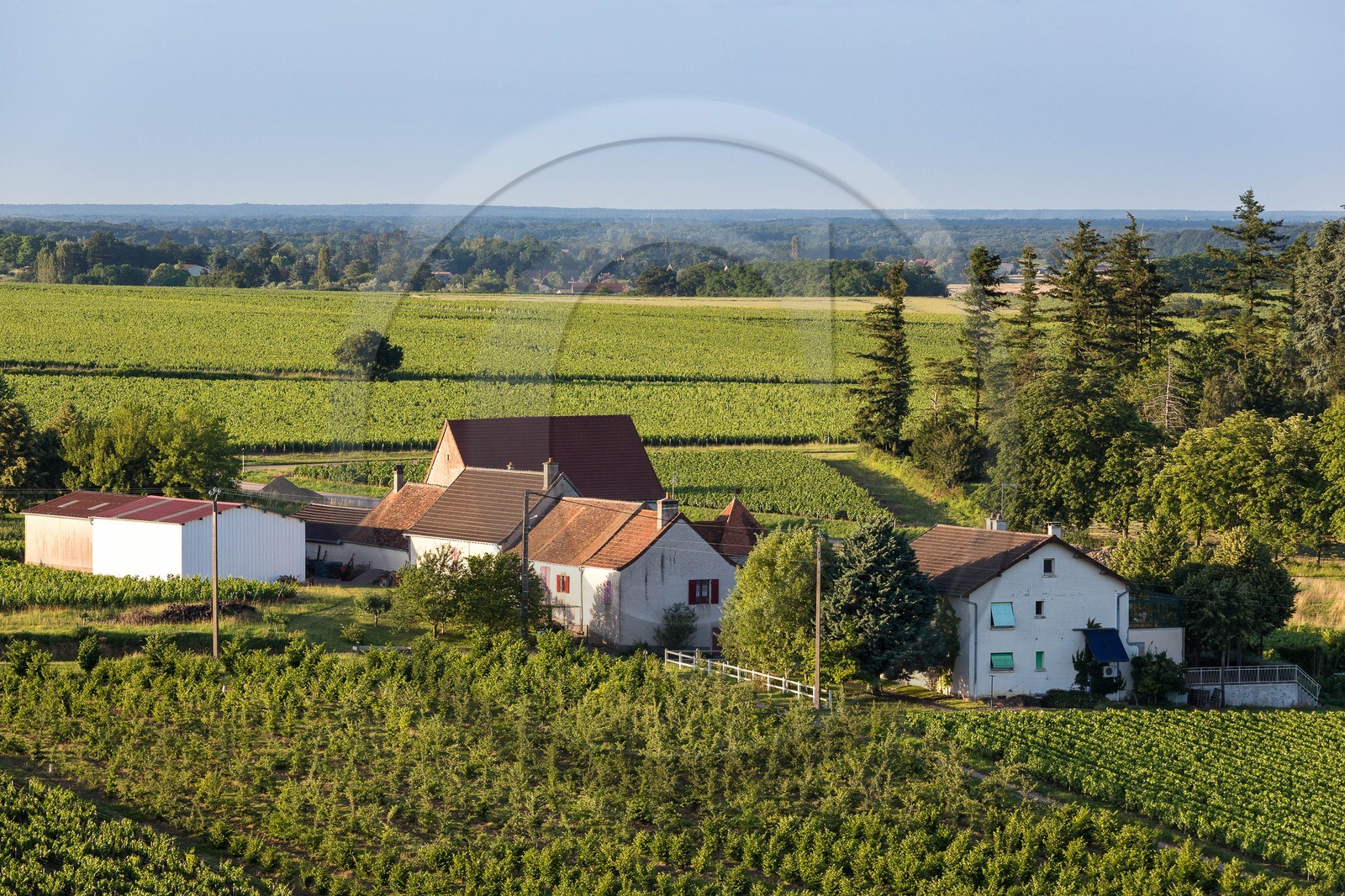 Domaine viticole Michel-Andreotti