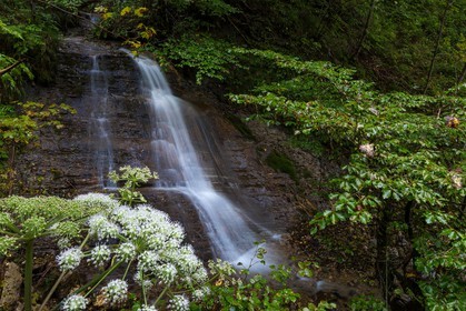 ENS de l'Isère, Les Ecouges