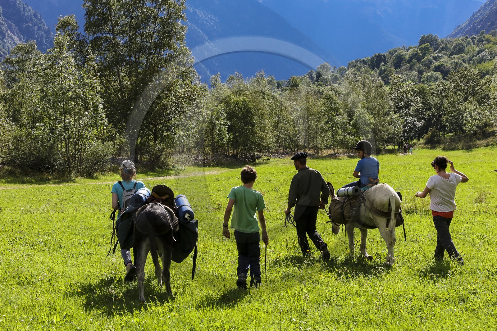 Yohann Masnada, accompagnateur ânier