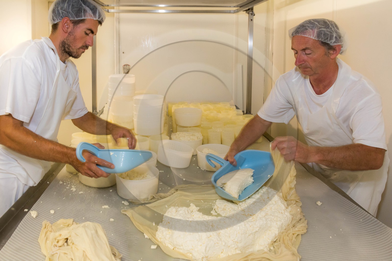 Vallée du Champsaur, fromagerie Ebrard