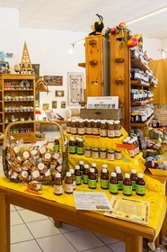 David Viveau agriculteur, producteur de baies d'argousier