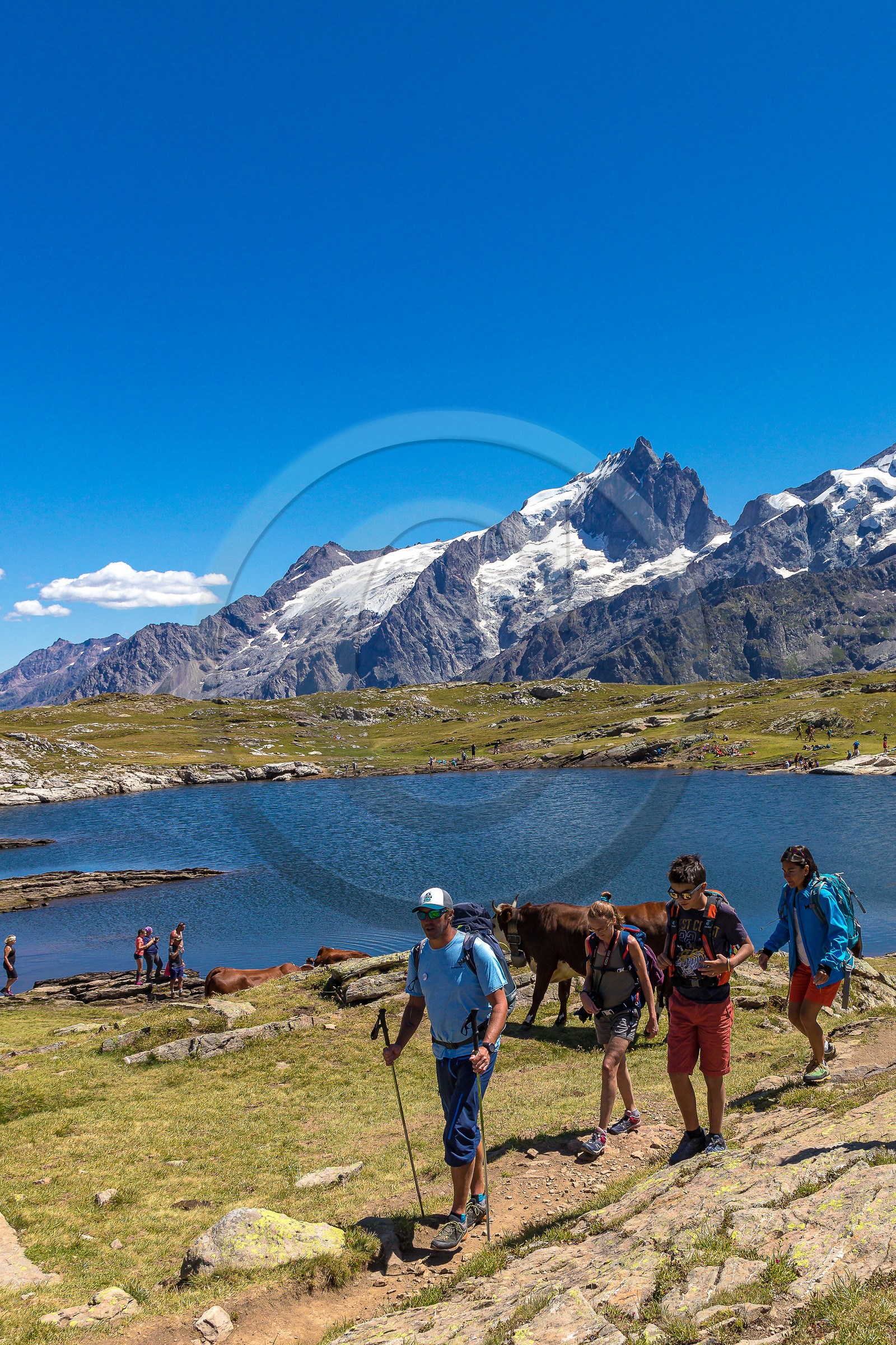 Plateau d'Emparis, randonnée pédestre