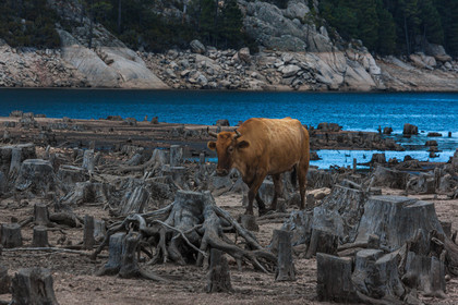 Lac de l'Ospedale