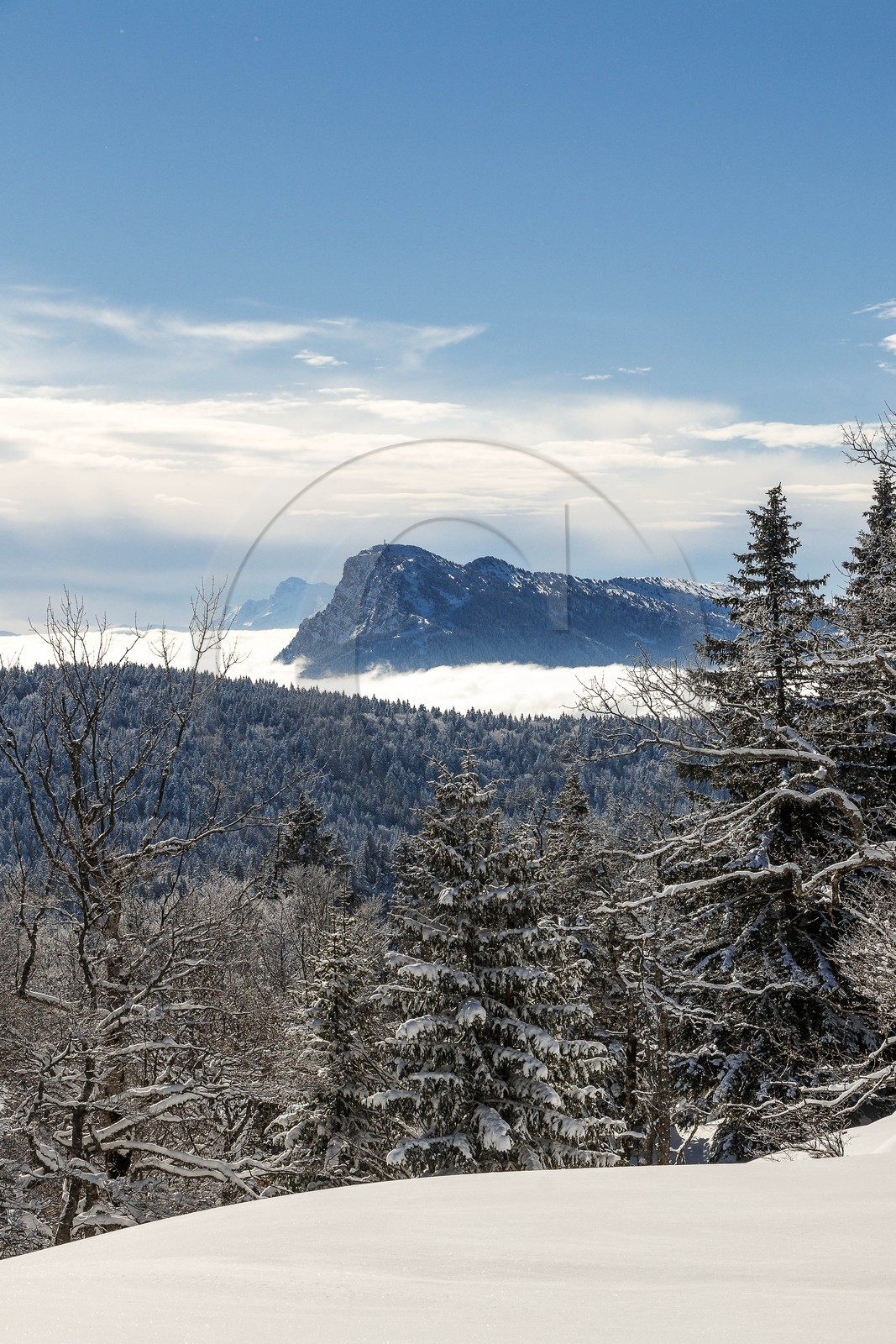 ENS de l'Isère, Plateau de la Molière et du Sornin