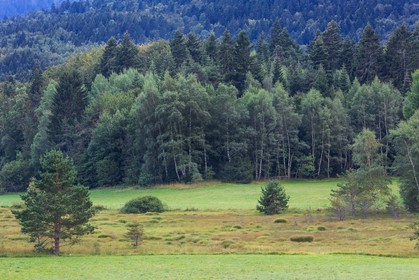 ENS de l'Isère,Tourbières du Peuil