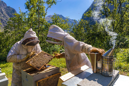 Margaux and Didier Pissard, beekeepers
