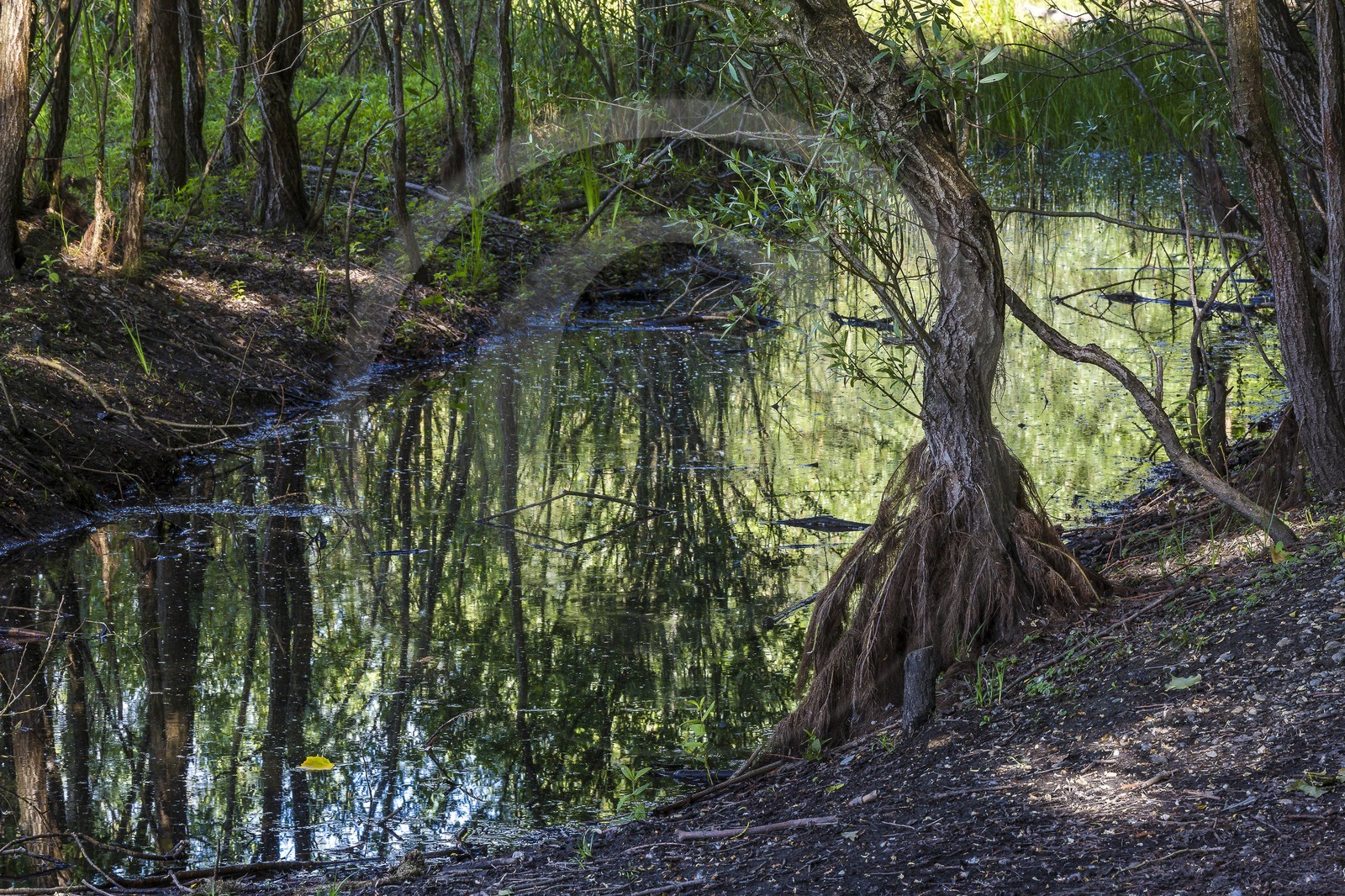 ENS de l'Isère, Boucle de la Taillat