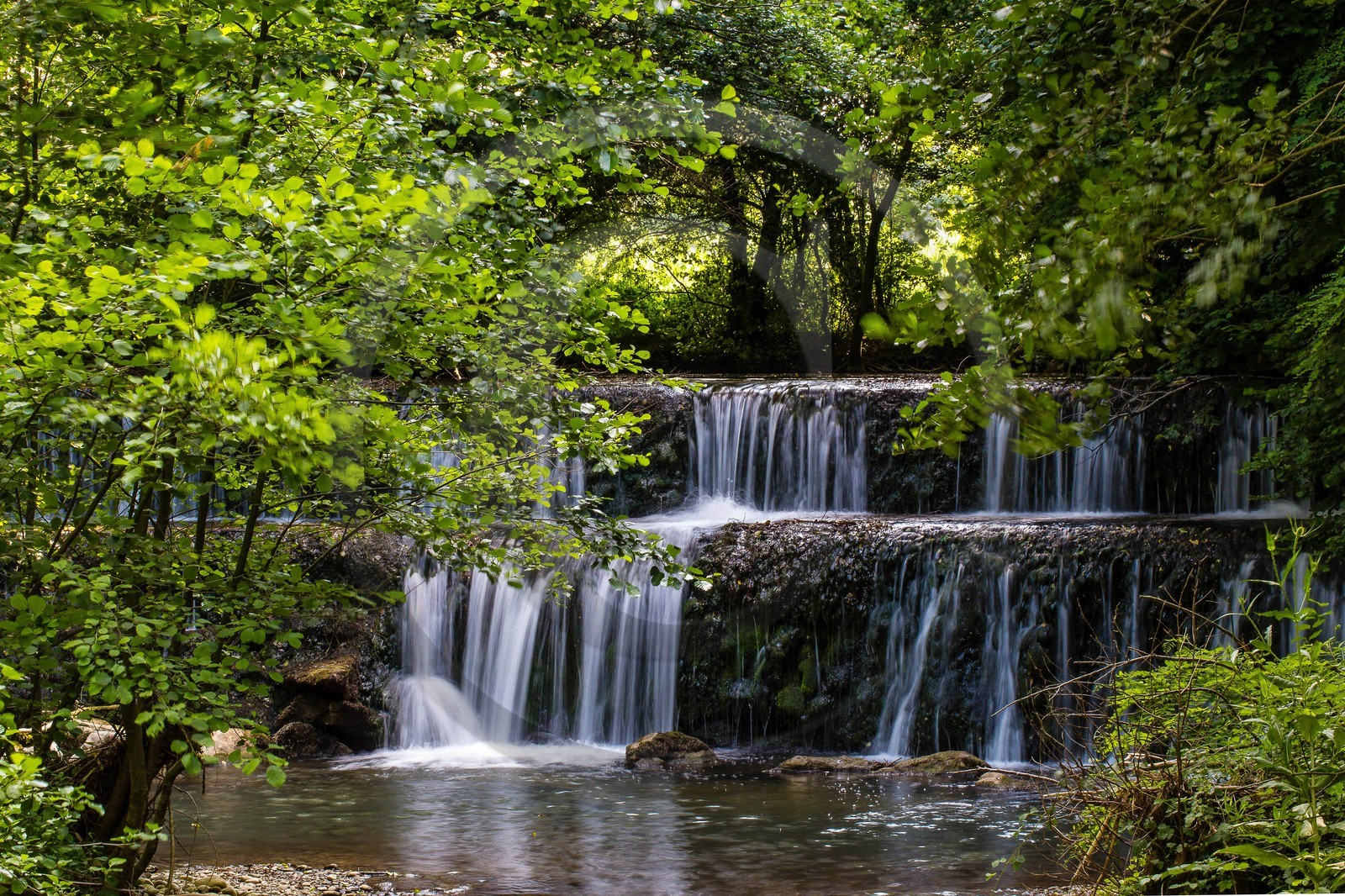 ENS de l'Isère, Zone humide de la Merlière