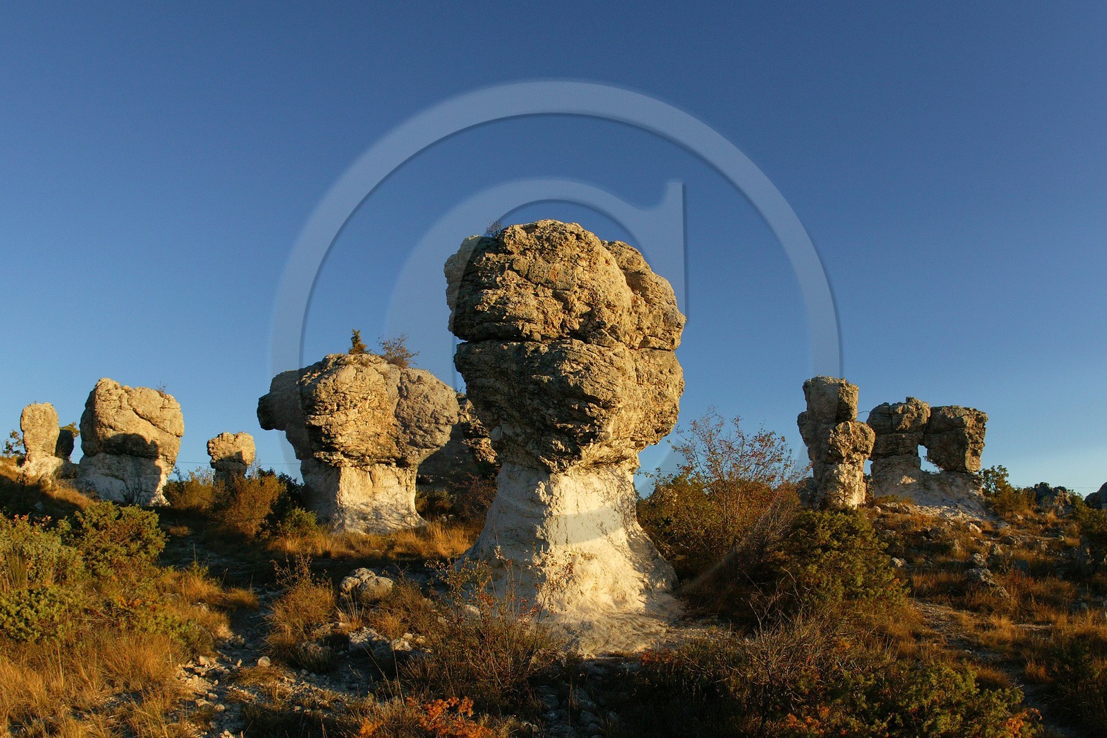 Les Mourres de Forcalquier