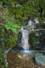 ENS de l'Isère, Les Ecouges