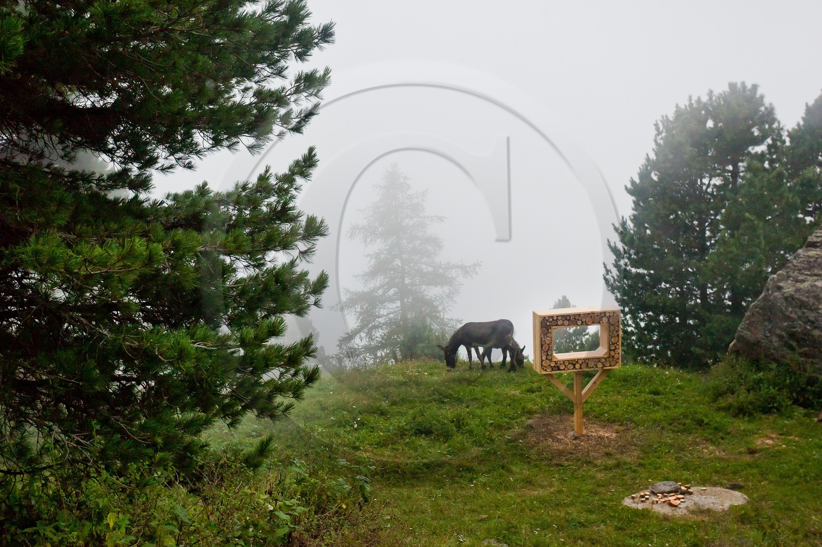 Sentiers Art et Nature Queyras et Val Varaita, Jean-François Marc