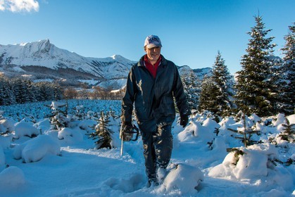 Pépinière Robin, producteur de sapin de Noël