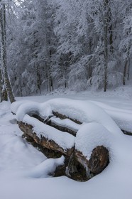 ENS de l'Isère, Les Ecouges, fontaine du Rivet